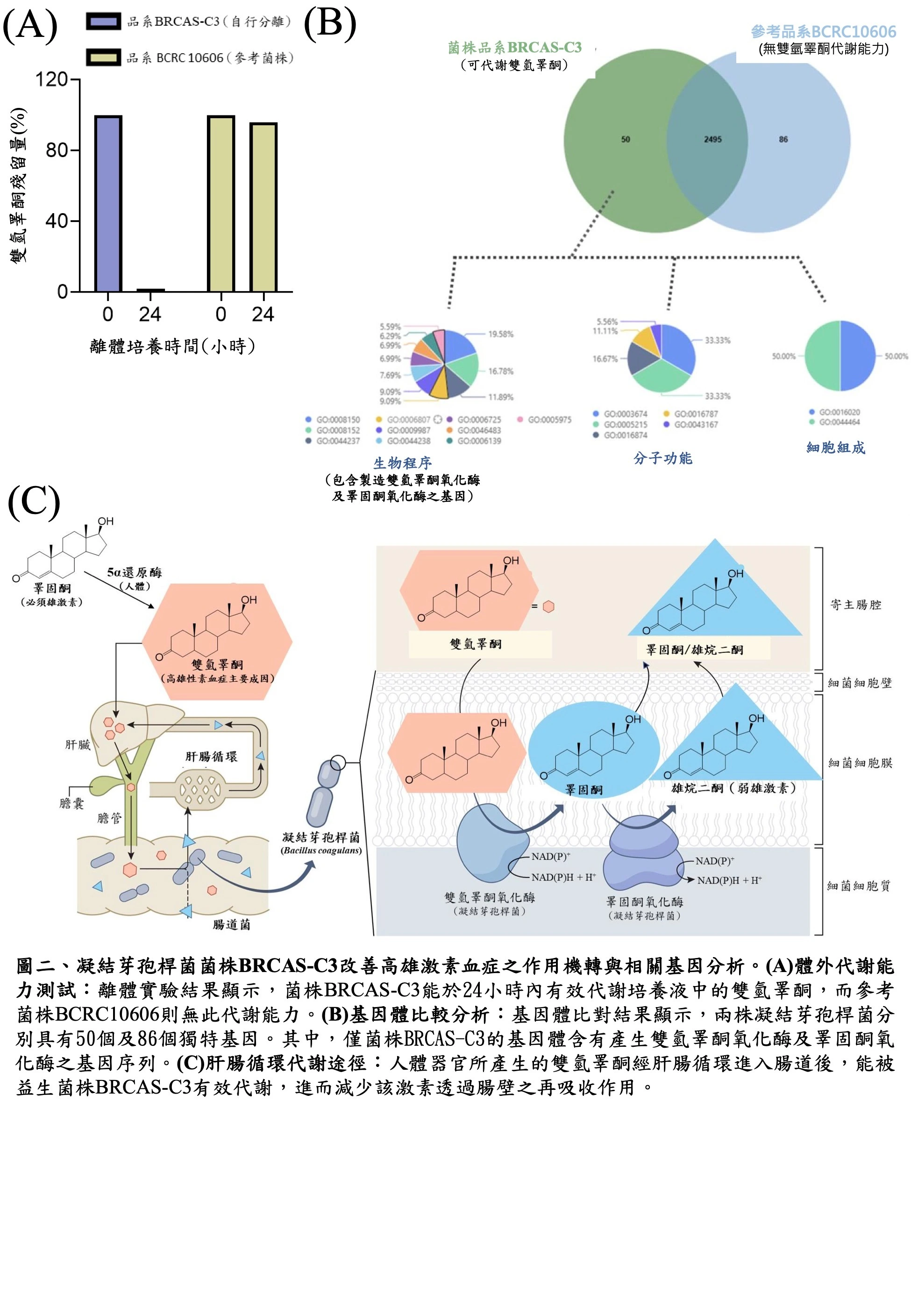 Innovative Development of Androgen-Metabolizing Probiotics: Functional Gut Microbiome Therapy for Hyperandrogenism Treatment
