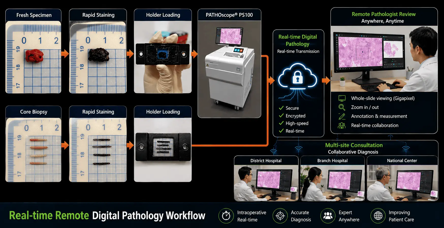 Onsite diagnosis of biopsies using rapid fresh pathology