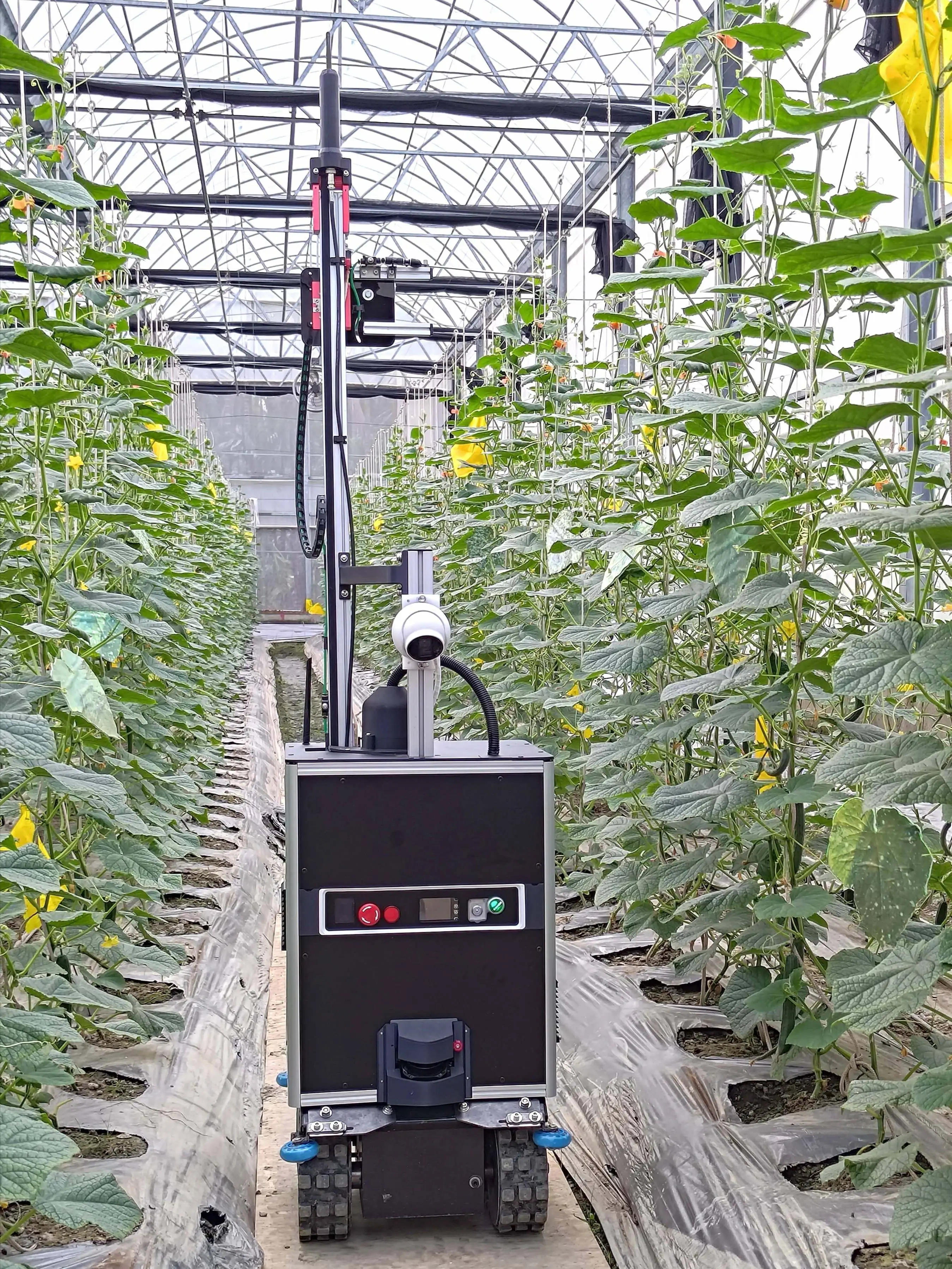自主移動智慧病害辨識精準噴藥機