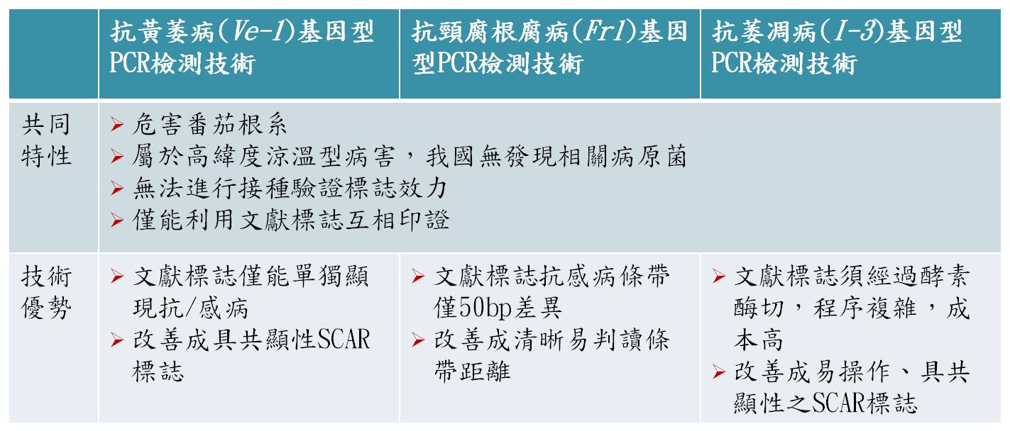 番茄土傳性病害抗病基因PCR檢測技術｜台灣創新技術博覽會